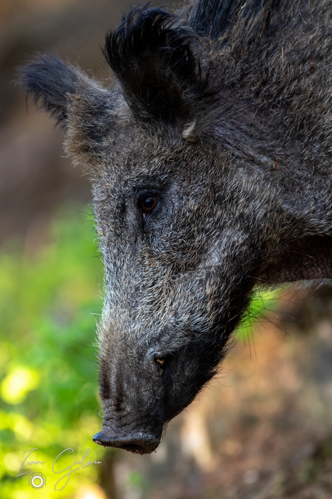 08 mei 2022 180908 1DX42883